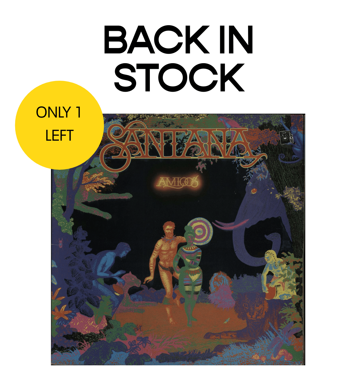  ONLY 1 LEFT BACK IN STOCK